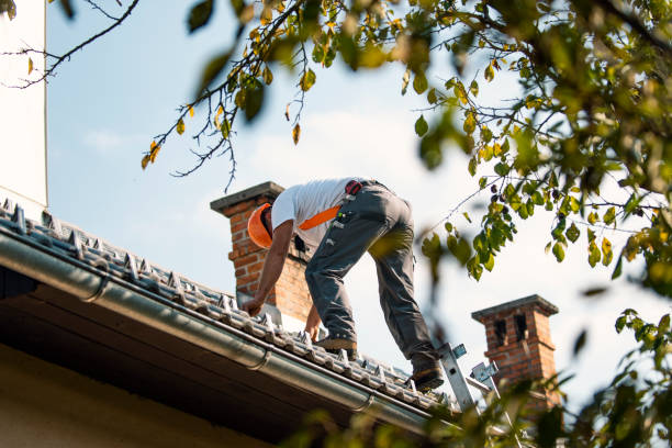 Best Roof Repair Services  in New Brunswick, NJ
